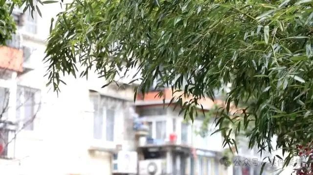 上海六旬阿姨再婚后竟想将86岁老母亲赶出家门……法院判了→