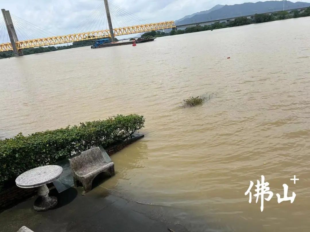 超过7米！洪峰平稳过境佛山！通航水域禁止船舶通行