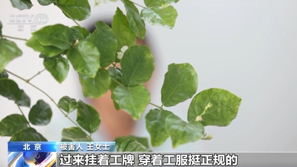 嘘寒问暖获信任 “保险专员”盯上老年人骗保单、赚佣金 嘘寒问暖获信任 “保险专员”盯上老年人骗保单、赚佣金