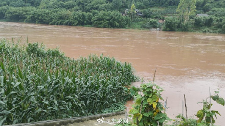 过去24小时重庆139条中小河流涨水 其中8条超警 过去24小时重庆139条中小河流涨水 其中8条超警