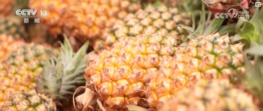 “夏日经济”清凉爽一“夏” 食在当“夏”激活消费新活力 “夏日经济”清凉爽一“夏” 食在当“夏”激活消费新活力