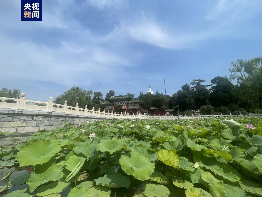 “北京旅游景区全面取消预约”，冲上热搜