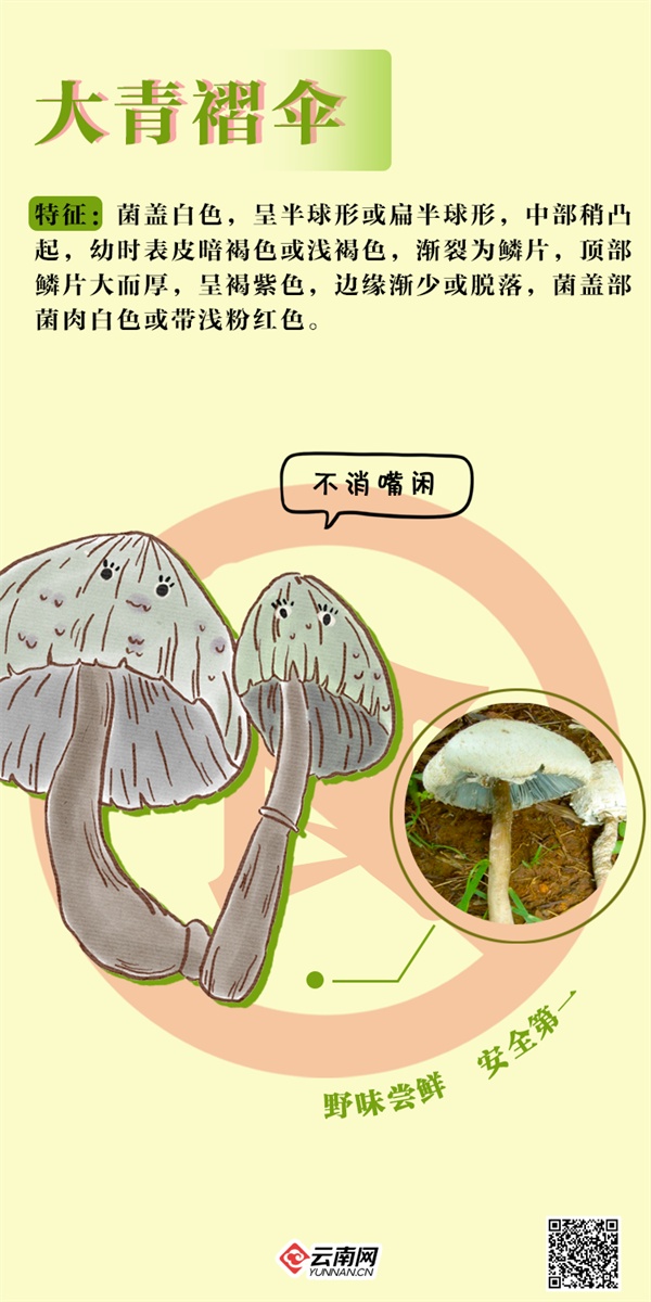 吃不得!吃不得!这些“jier”毒得很→ 吃不得!吃不得!这些“jier”毒得很→