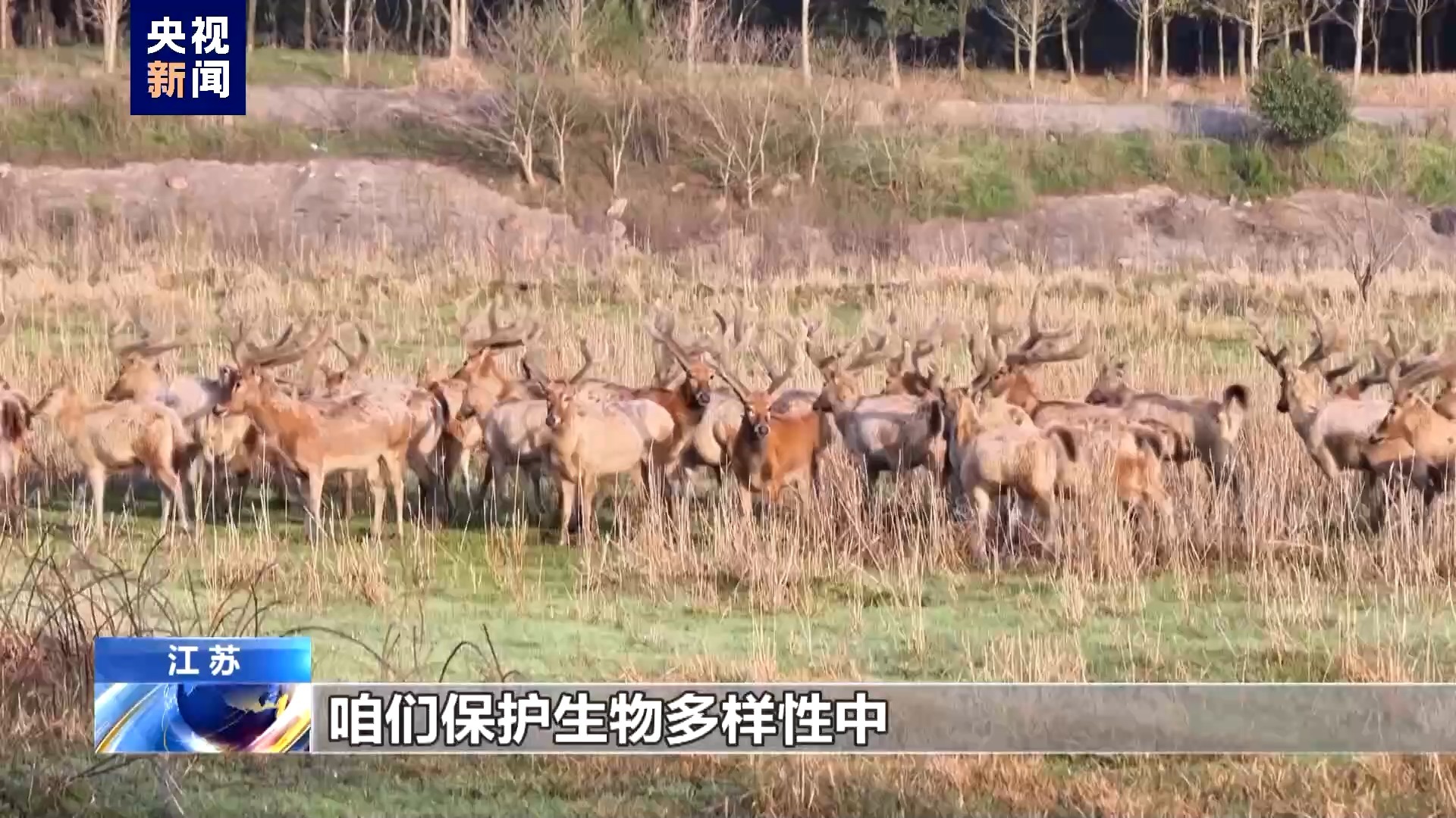 治风沙、护生态 做大自然的“医生”你感兴趣吗? 治风沙、护生态 做大自然的“医生”你感兴趣吗?