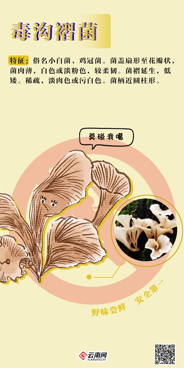 吃不得!吃不得!这些“jier”毒得很→ 吃不得!吃不得!这些“jier”毒得很→