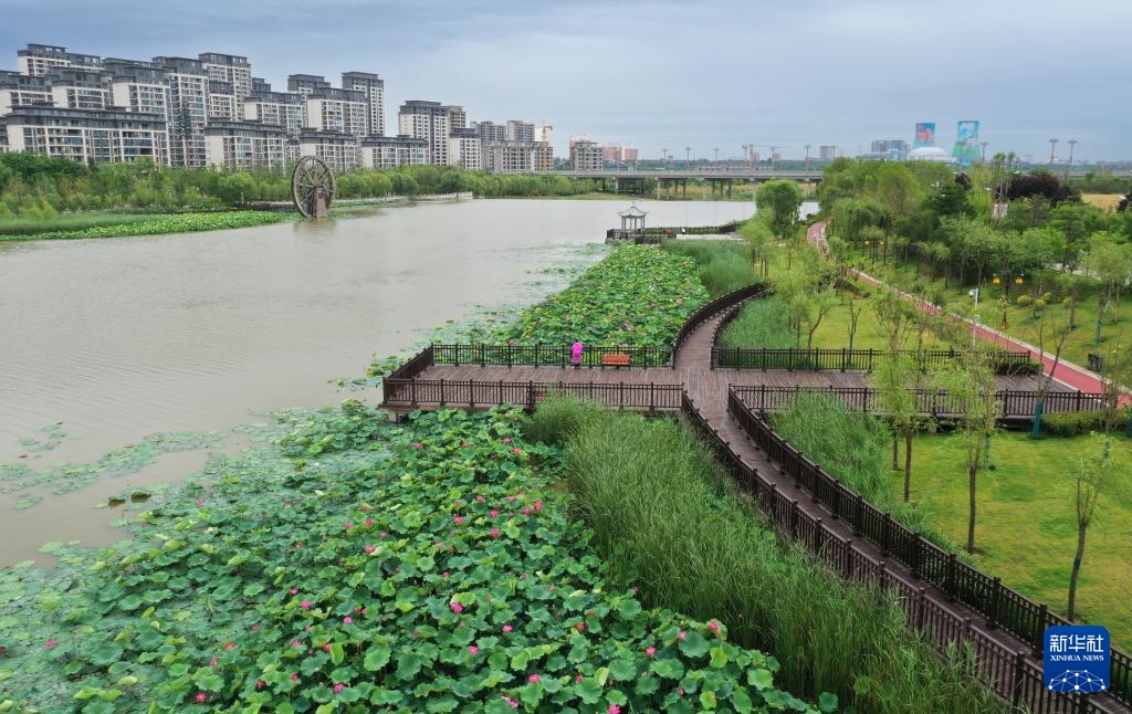 新华全媒+·高质量发展调研行|陕西富平:打造生态绿廊 探索“乐水兴城” 新华全媒+·高质量发展调研行|陕西富平:打造生态绿廊 探索“乐水兴城”