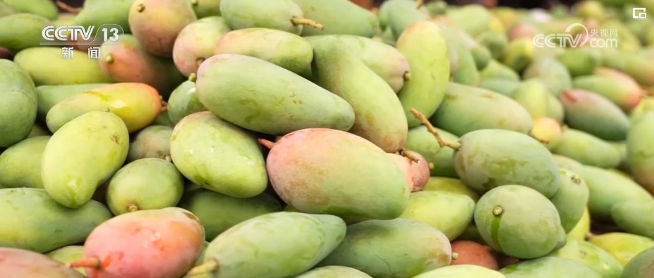 “夏日经济”清凉爽一“夏” 食在当“夏”激活消费新活力 “夏日经济”清凉爽一“夏” 食在当“夏”激活消费新活力