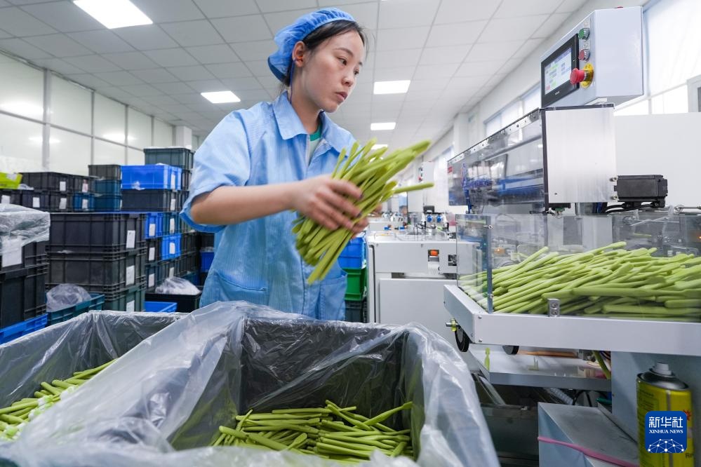 江苏杭集：牙刷小镇“刷”新发展