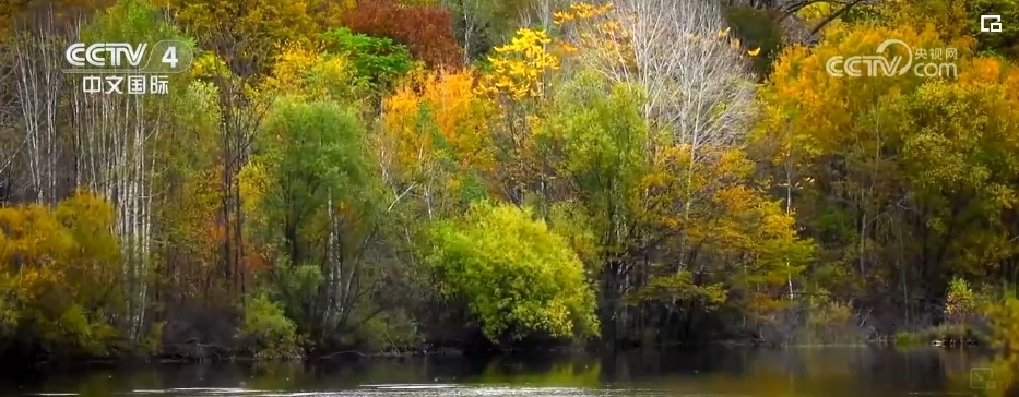 47处，全球首位！地质公园创新性发展 资源优势成经济增长新“密码”