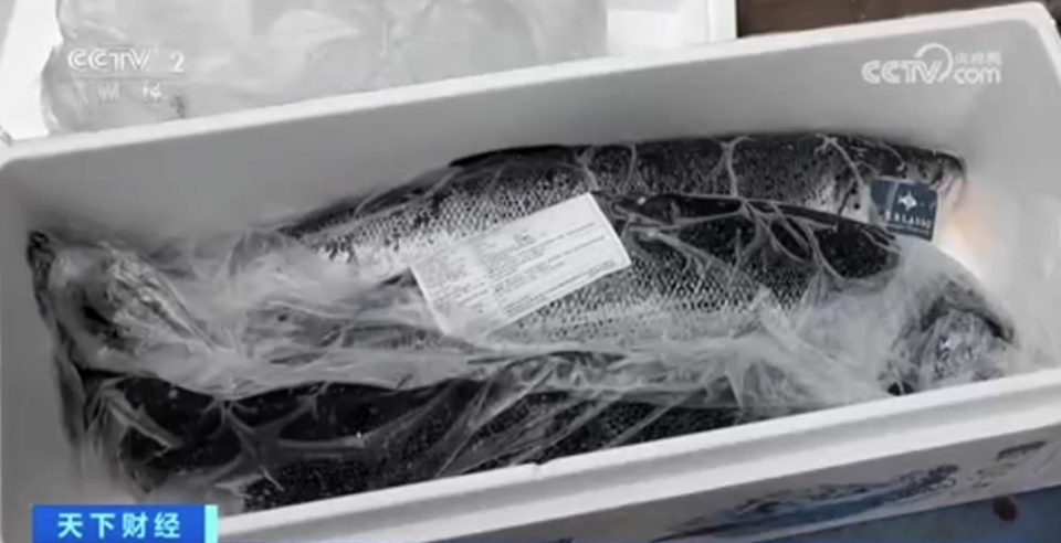 每公斤便宜超20元!供应量增加,上海进口三文鱼价格下跌 每公斤便宜超20元!供应量增加,上海进口三文鱼价格下跌