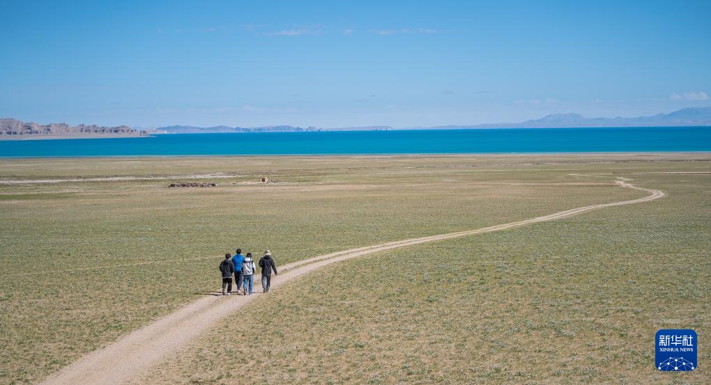 西藏第一大湖色林错夏日风光
