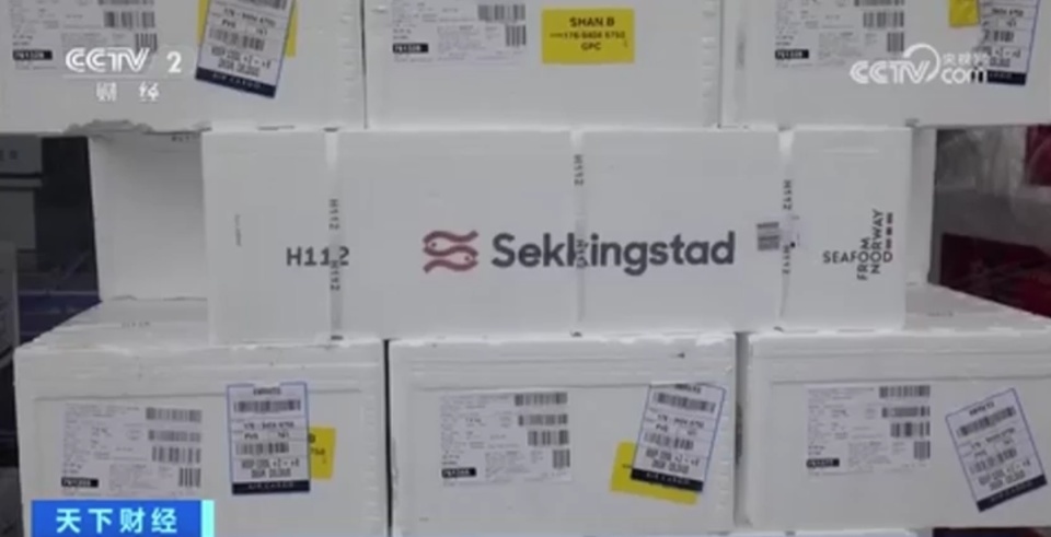 每公斤便宜超20元!供应量增加,上海进口三文鱼价格下跌 每公斤便宜超20元!供应量增加,上海进口三文鱼价格下跌