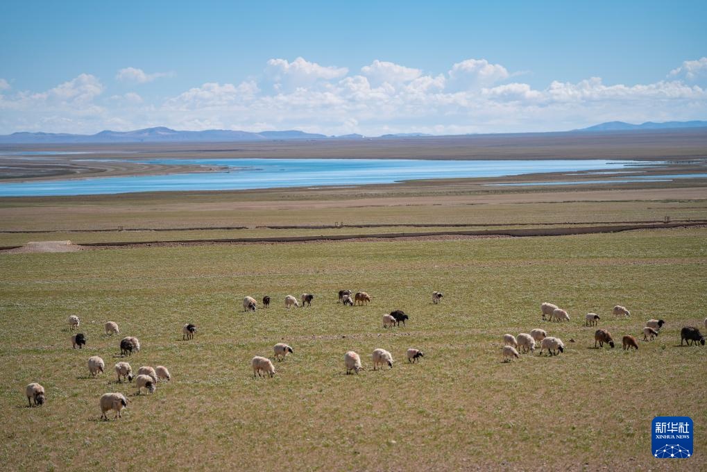 西藏第一大湖色林错夏日风光