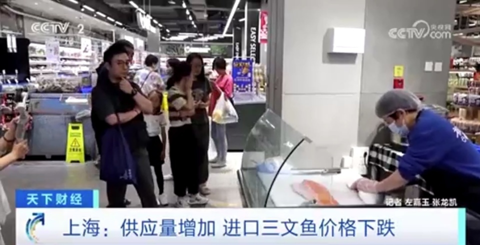每公斤便宜超20元!供应量增加,上海进口三文鱼价格下跌 每公斤便宜超20元!供应量增加,上海进口三文鱼价格下跌