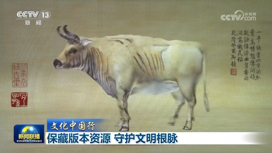 【文化中国行】保藏版本资源 守护文明根脉