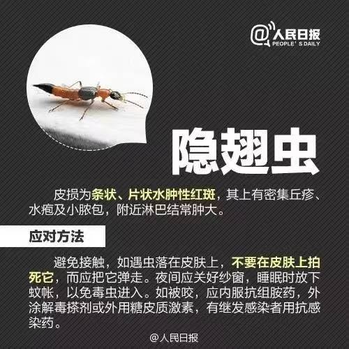 近期多发！不少人中招！福州吴女士：痒到崩溃！