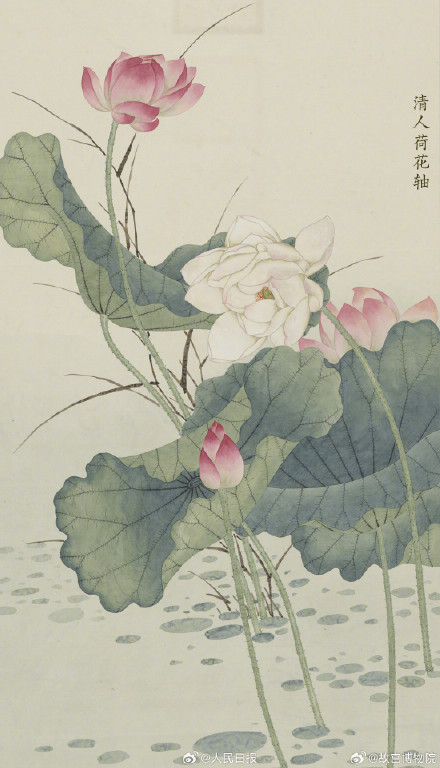 收藏！故宫发布古画版荷花壁纸