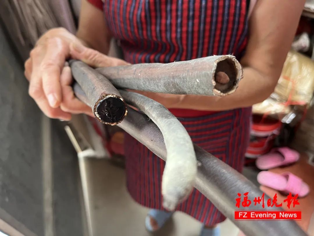 福州街头大量出现！别食用，有毒！