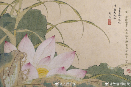 收藏！故宫发布古画版荷花壁纸