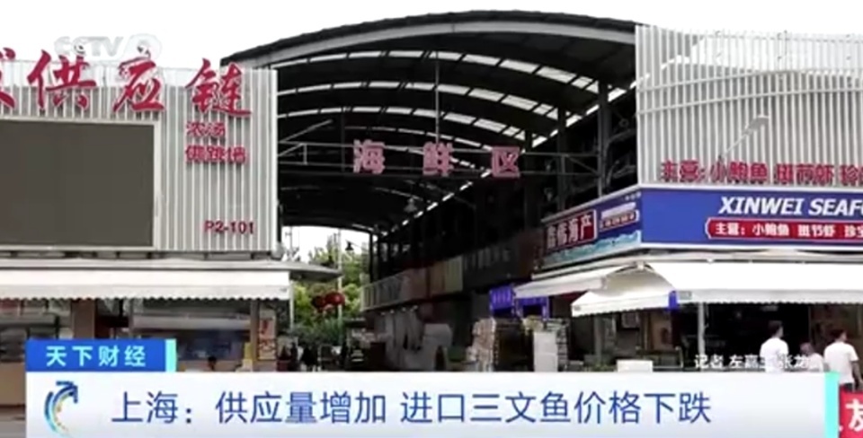 每公斤便宜超20元!供应量增加,上海进口三文鱼价格下跌 每公斤便宜超20元!供应量增加,上海进口三文鱼价格下跌