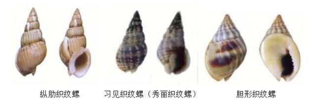 剧毒!有人点外卖时发现!广东曾多次提醒:勿食 剧毒!有人点外卖时发现!广东曾多次提醒:勿食