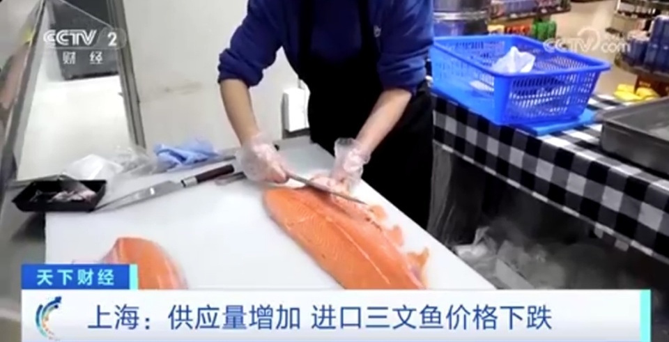 每公斤便宜超20元!供应量增加,上海进口三文鱼价格下跌 每公斤便宜超20元!供应量增加,上海进口三文鱼价格下跌