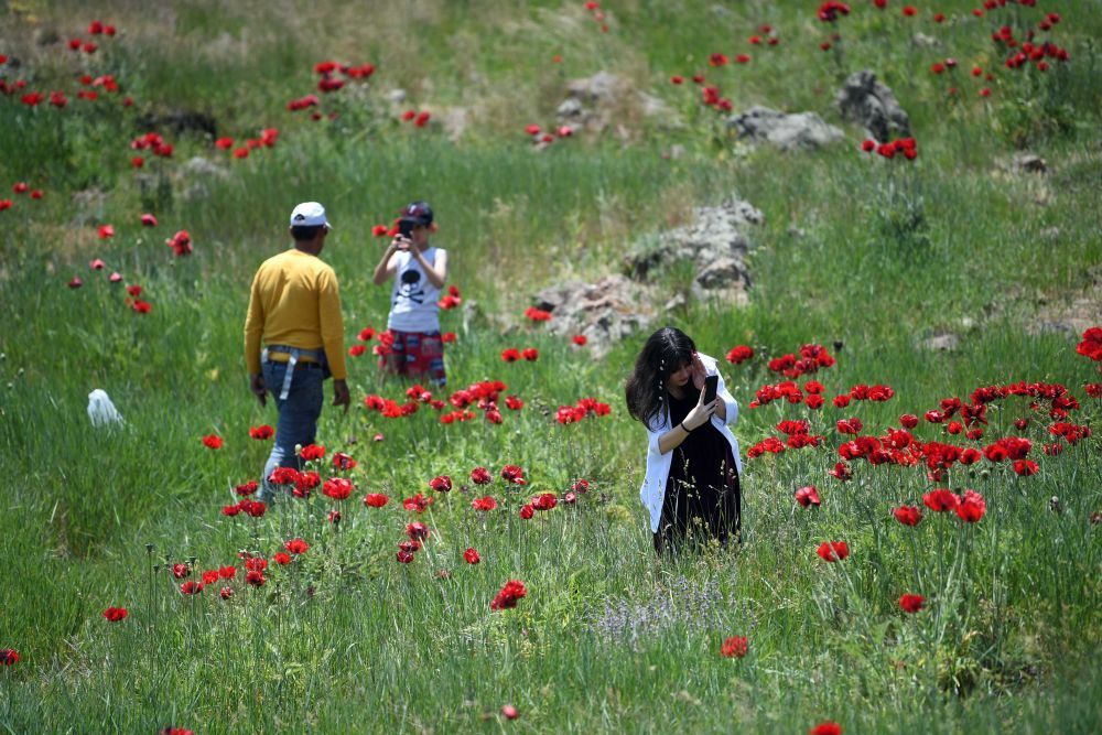 伊朗:夏日里的达马万德山 伊朗:夏日里的达马万德山