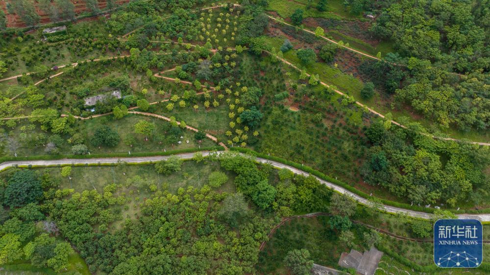 探访白鹤滩水电站