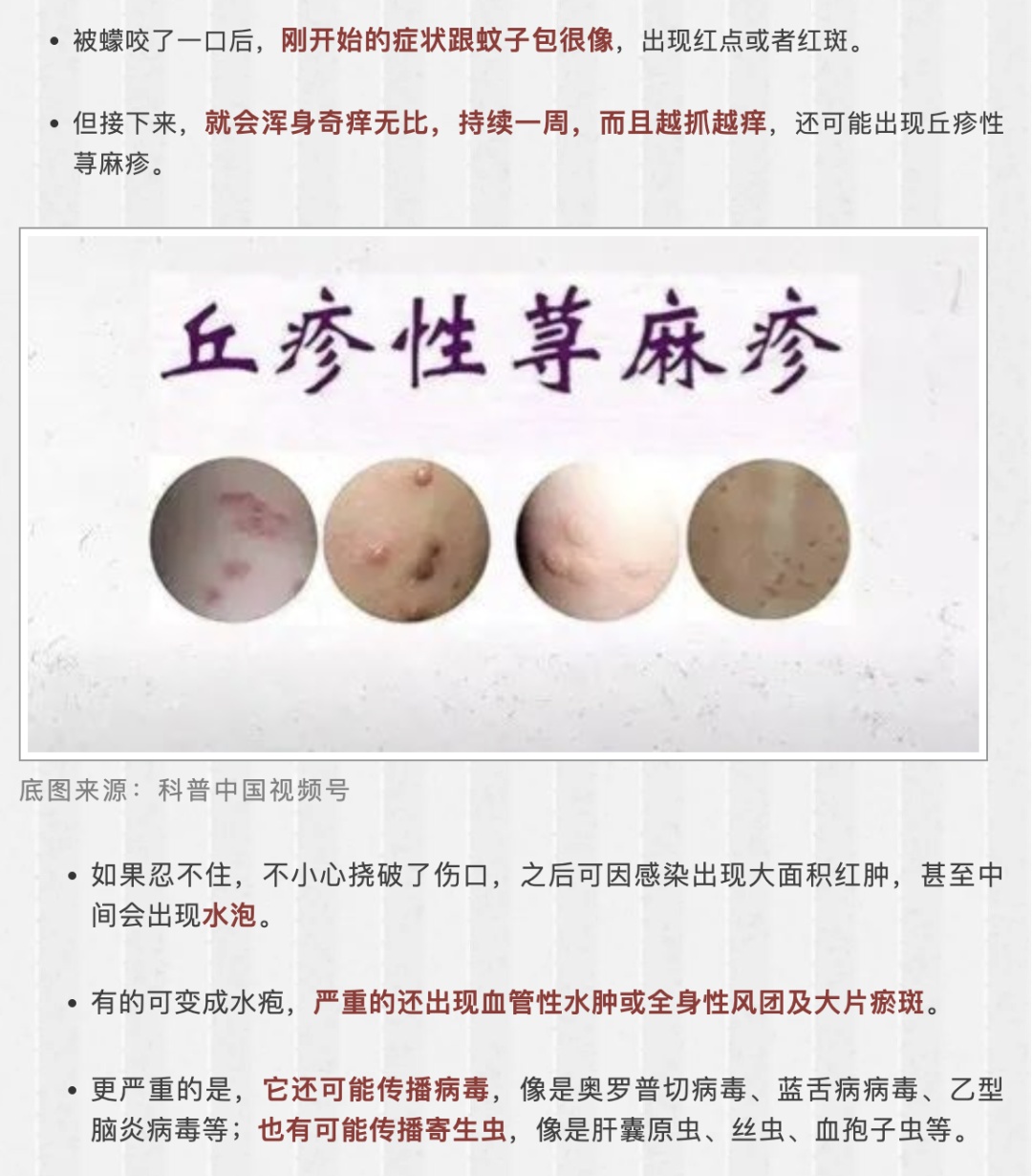 比蚊子还毒，被咬后奇痒！今年第一批中招的人出现了