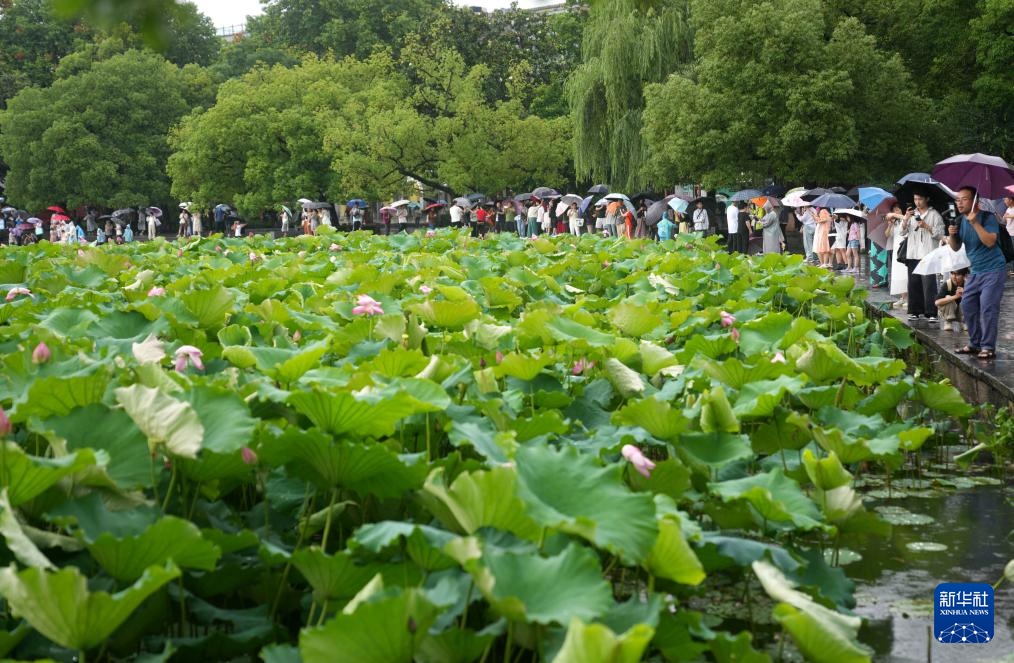 “杭州西湖日” 雨中游西湖