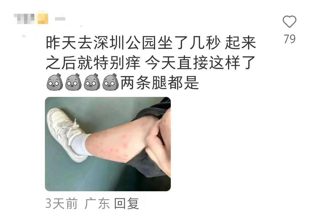 比蚊子还毒，被咬后奇痒！今年第一批中招的人出现了