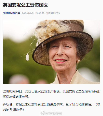英国安妮公主受伤送医
