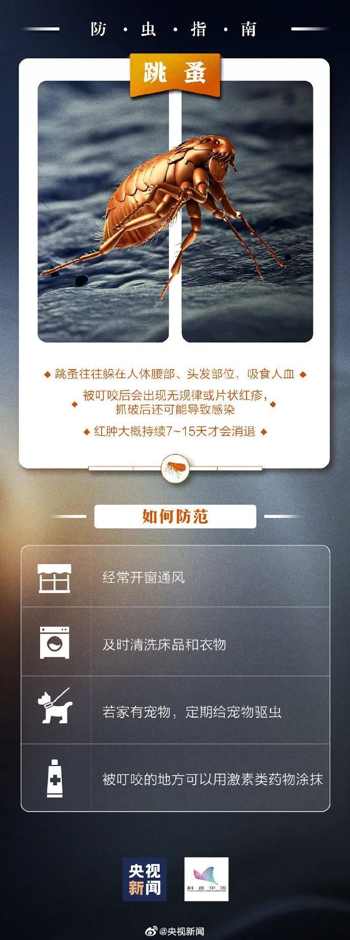 比蚊子还毒，被咬后奇痒！今年第一批中招的人出现了