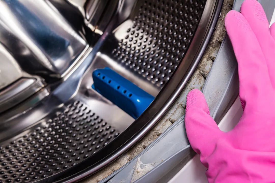 家中出现小霉点,身体可能要遭殃!千万别大意→ 家中出现小霉点,身体可能要遭殃!千万别大意→