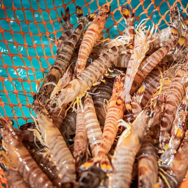 血管里面也会长“石头”？严重可致命！劝你这类食物少吃点