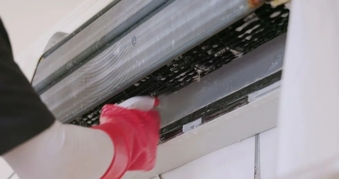 家中出现小霉点,身体可能要遭殃!千万别大意→ 家中出现小霉点,身体可能要遭殃!千万别大意→