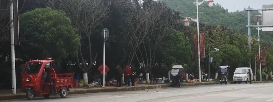 近期贵州大量上市！坊间流传的鉴别方法靠谱吗？警惕，一旦误食可致命...