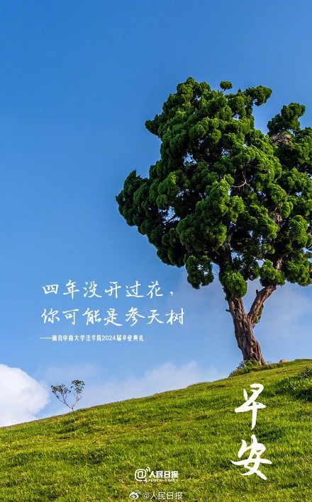 四年没开过花，你可能是参天树