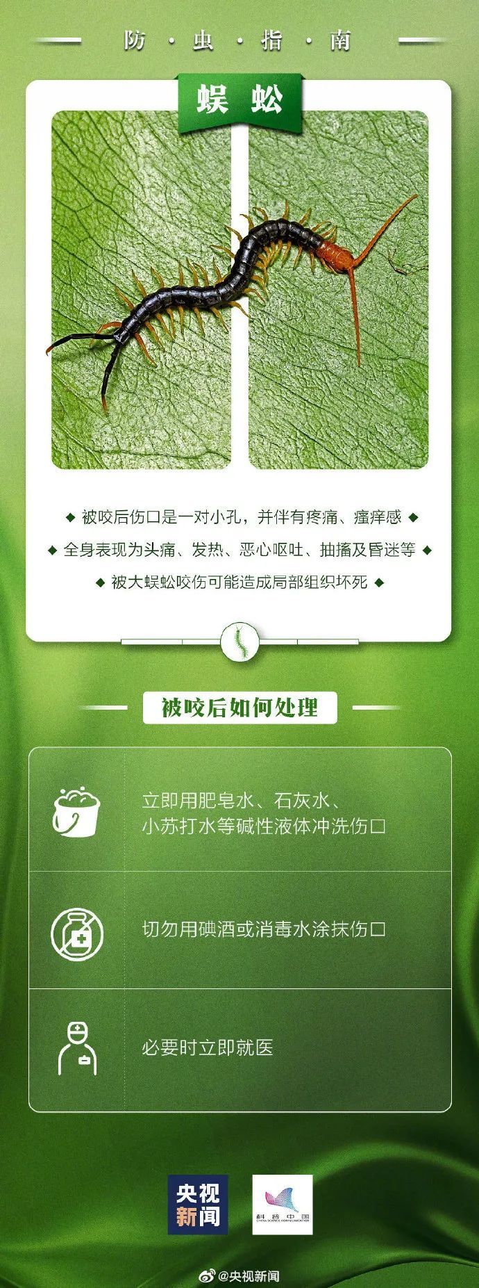 比蚊子还毒，被咬后奇痒！今年第一批中招的人出现了