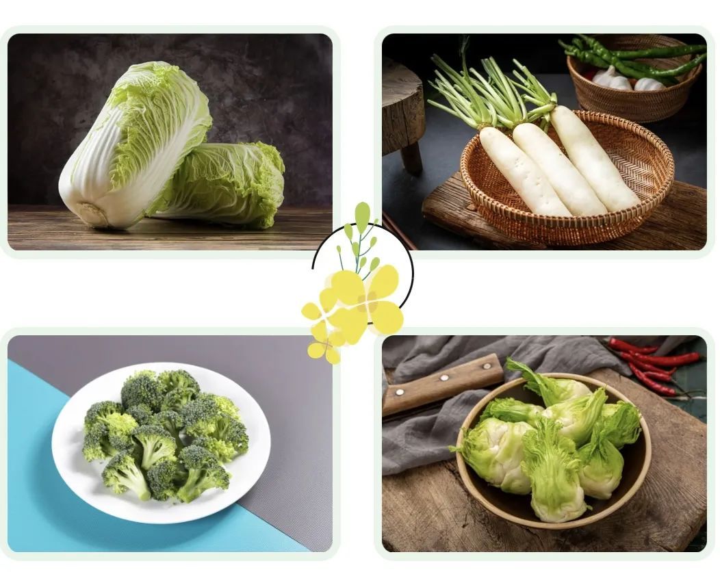 血管里面也会长“石头”？严重可致命！劝你这类食物少吃点