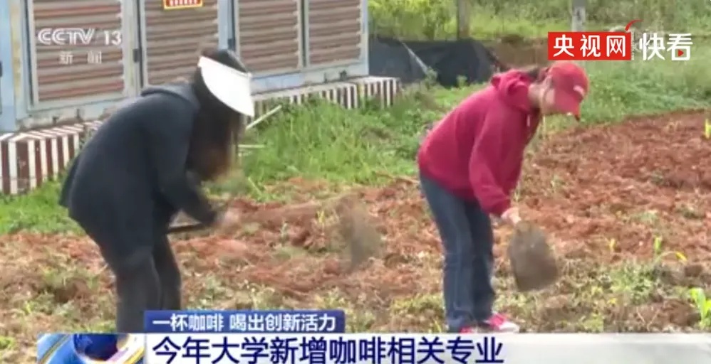 冲上热搜！云南这专业，香！