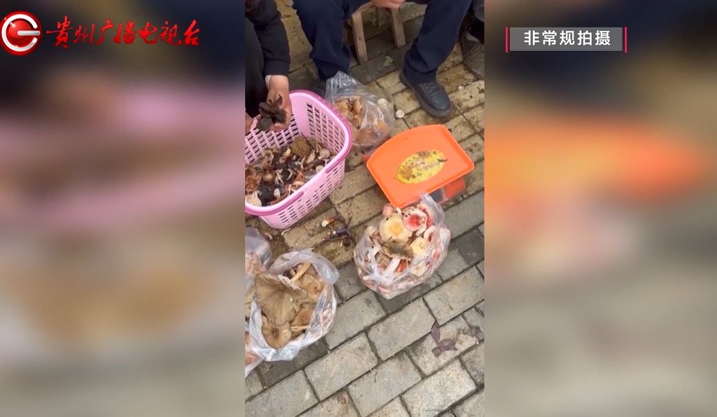 近期贵州大量上市！坊间流传的鉴别方法靠谱吗？警惕，一旦误食可致命...