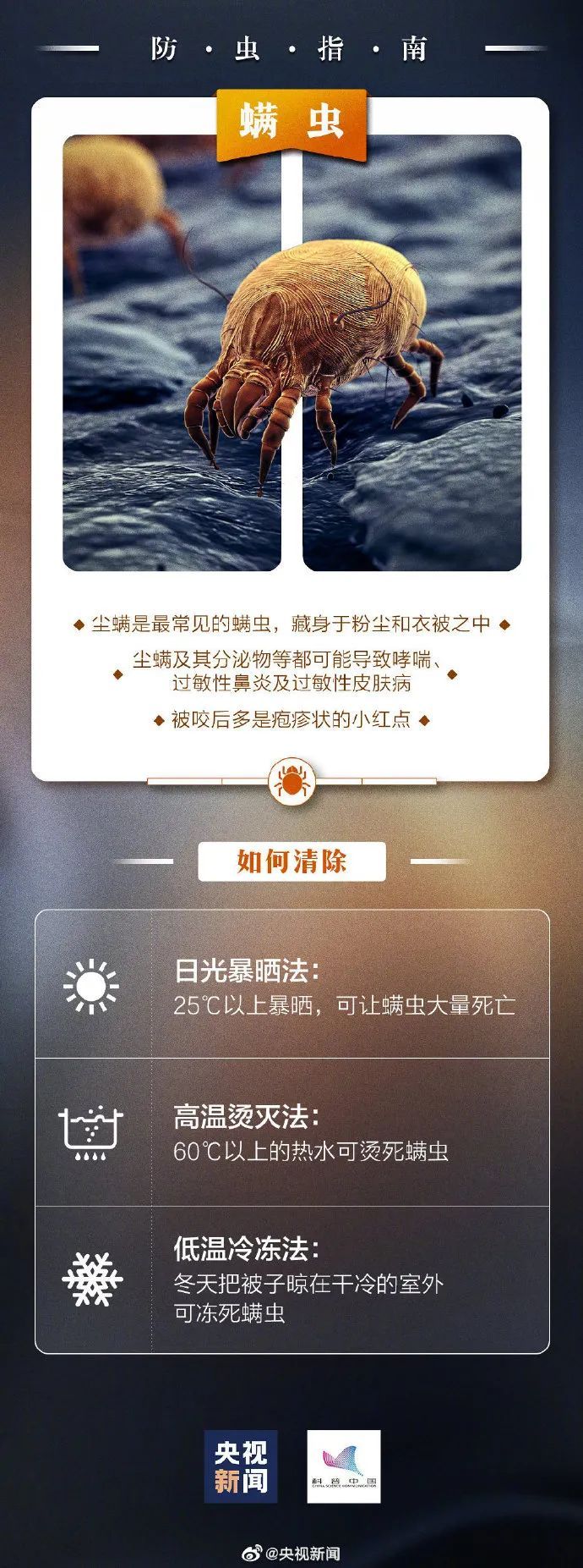 比蚊子还毒，被咬后奇痒！今年第一批中招的人出现了