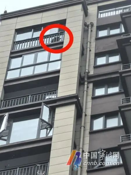 “暴力梅”开启，出现“意外版”高空抛物要担责吗？