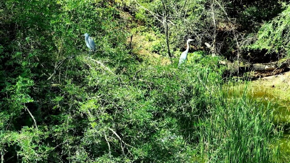 陕北好“江南” 水润南泥湾 陕北好“江南” 水润南泥湾