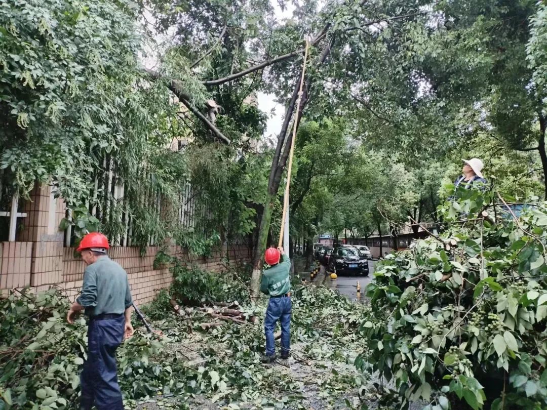风雨不停，守护不止！迎战暴雨，他们在行动