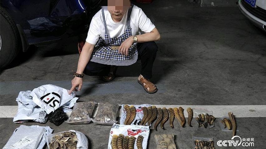 查获穿山甲鳞片3000克 重庆渝中警方侦破危害濒危野生动物案