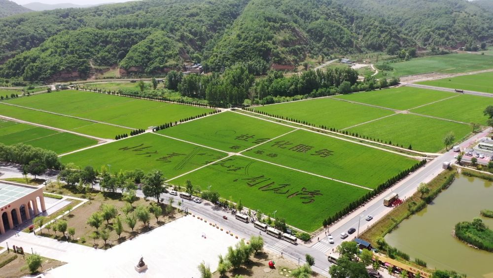 陕北好“江南” 水润南泥湾 陕北好“江南” 水润南泥湾