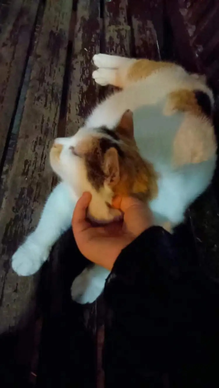 上海有医院一天看诊500人次！梅雨季高发，医生提醒：不要这么做→