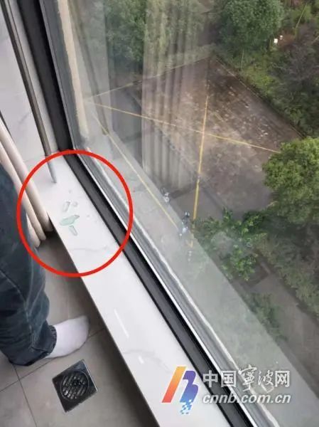 “暴力梅”开启，出现“意外版”高空抛物要担责吗？